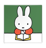 Koelkastmagneet, Nijntje leest een boek