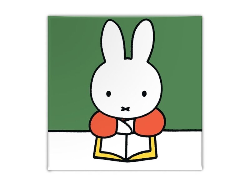 Koelkastmagneet, Nijntje leest een boek