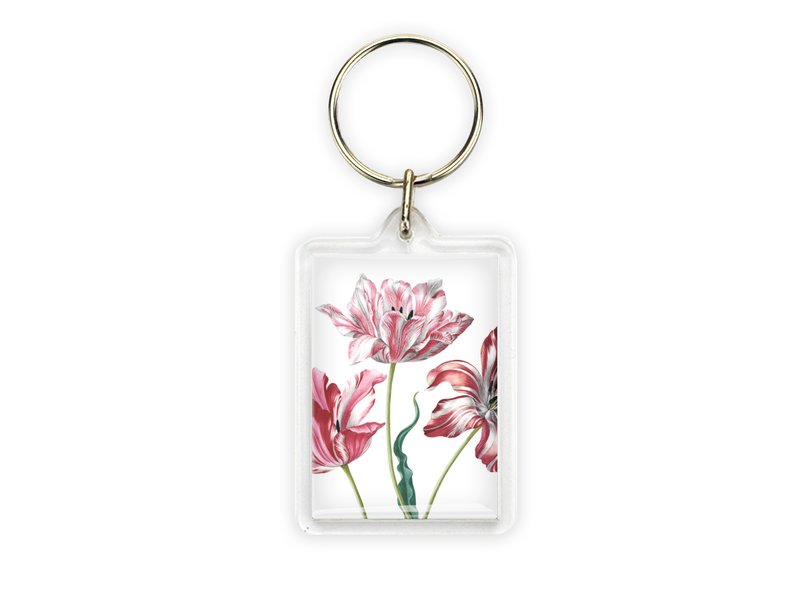 Schlüsselbund, drei Tulpen, Merian