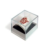 Vingerhoedje, Rood met wit tulp