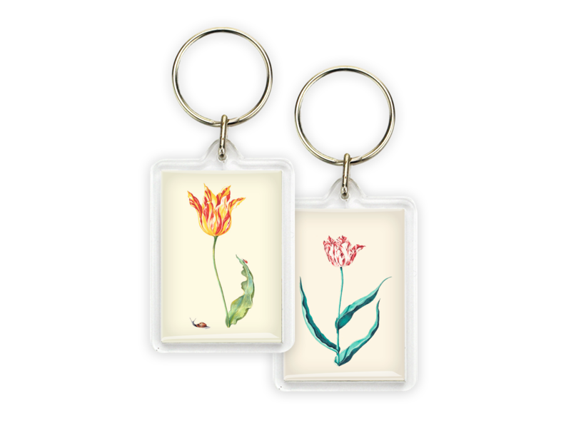 Schlüsselbund, Tulpe mit Schnecke