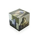Cube magique, Johannes Vermeer