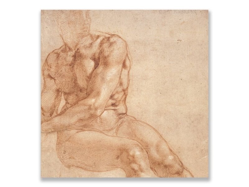 Ansichtkaart, Studie van zittende jongeman, Michelangelo