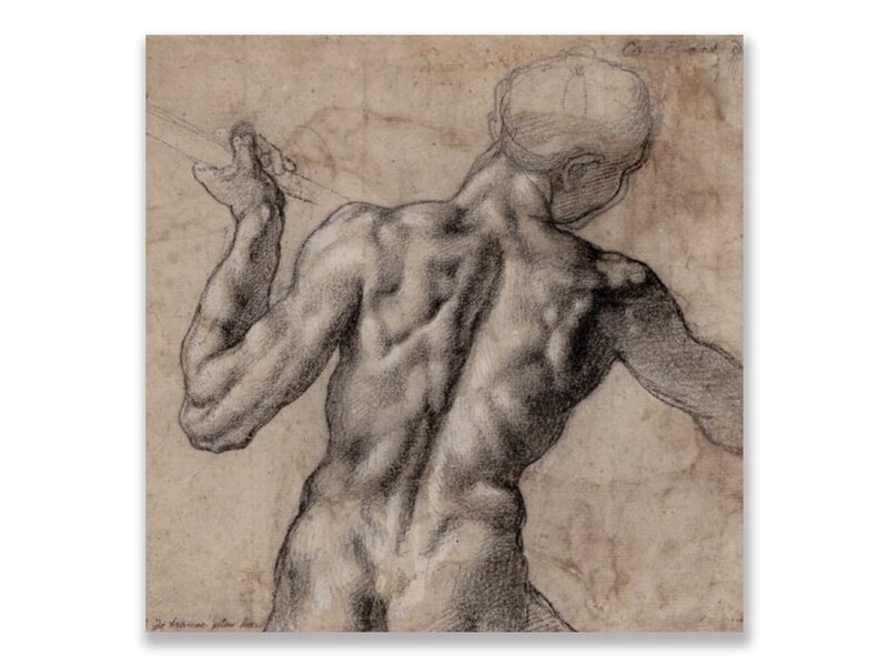 Postcard, Male Nude Seen From the back, Michelangelo,