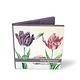 Porte-cartes, carré, Tulipe Splendour