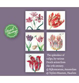 Card Wallet, Square, Tulip Splendour