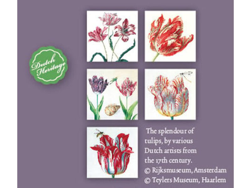 Kaartenmapje, Vierkant, Tulp Splendour