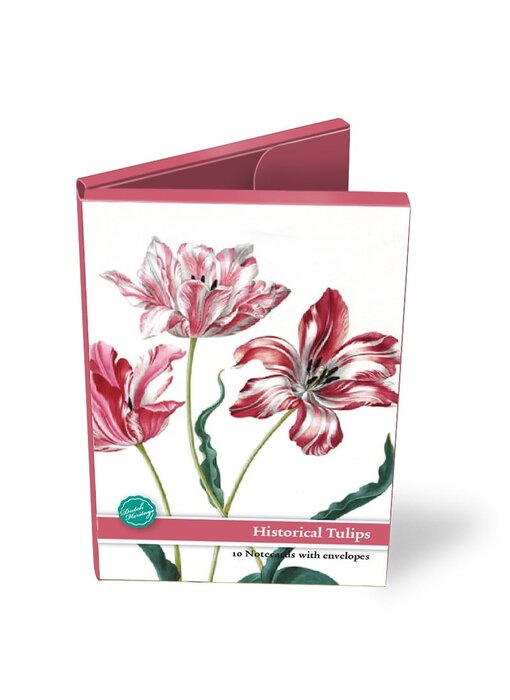 Kaartenmapje, Groot, Historisch tulpen, Merian