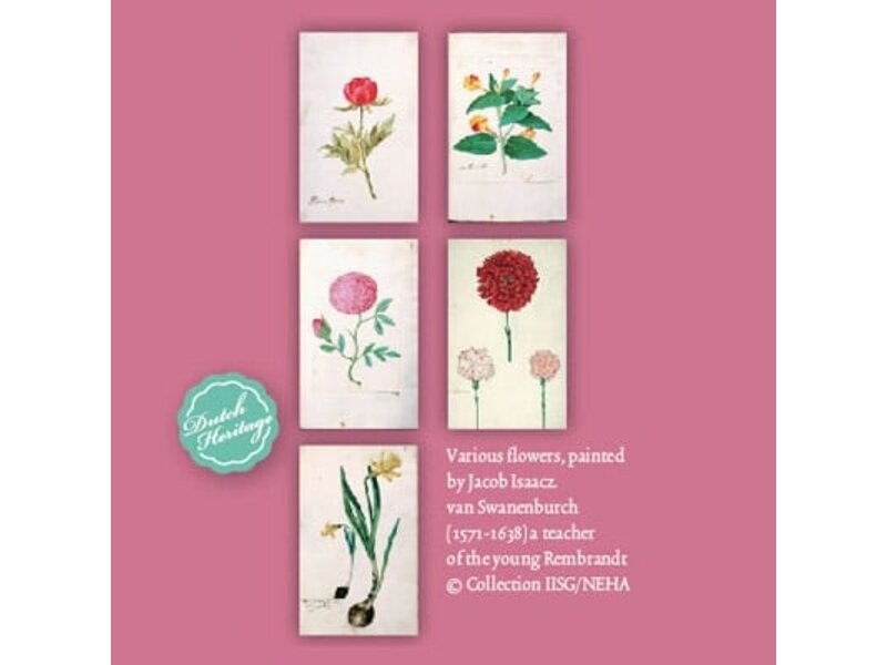 Kartenmappe,  Botanische Schönheit