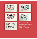 Carpeta de tarjetas, pequeña, flora y fauna