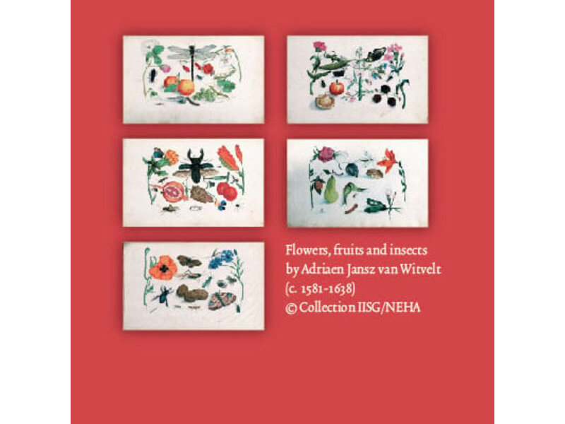 Kartenmappe,  klein, Flora und Fauna