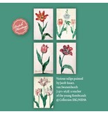 Kaartenmapje, set van 10 kaarten, 17de eeuwse tulpen Kaartenmapje, set van 10 kaarten, 17de eeuwse tulpen