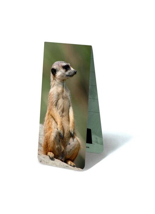 Magnetische Boekenlegger, Stokstaartje