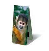 Marcador magnético, mono ardilla Marcador magnético, mono ardilla