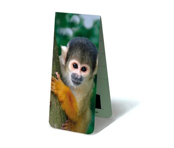 Magnetische Boekenlegger, Eekhoorn aapje