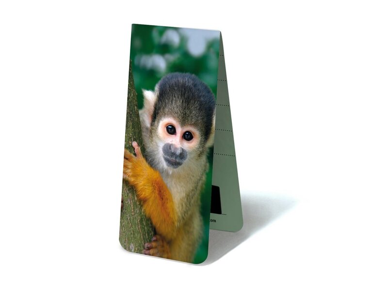 Magnetisches Lesezeichen, Totenkopfäffchen