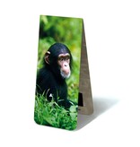 Marcador magnético, chimpancé bebé