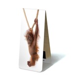 Magnetisches Lesezeichen, Baby Orang-Utan