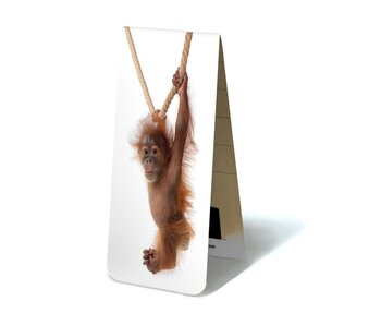 Magnetisches Lesezeichen, Baby Orang-Utan