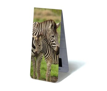 Magnetische Boekenlegger, Zebra met kalfje