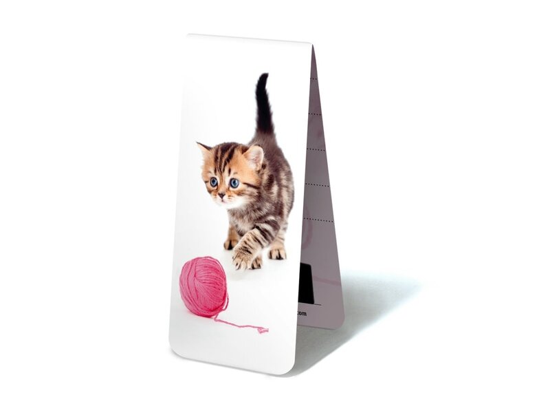 Marque-page magnétique, chaton, chaton avec de la laine