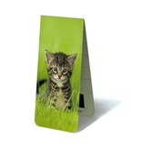 Magnetisches Lesezeichen, Kätzchen, Muschi im Gras