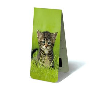 Magnetische Boekenlegger, Kitten, poesje in het gras
