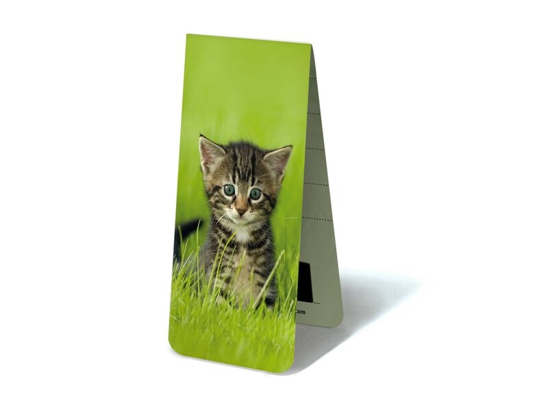 Magnetisches Lesezeichen, Kätzchen, Muschi im Gras