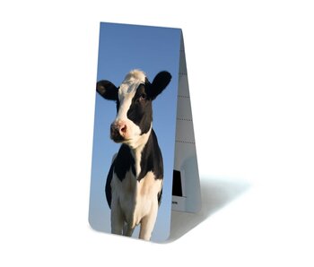 Magnetic Bookmark, Cow looking in camera