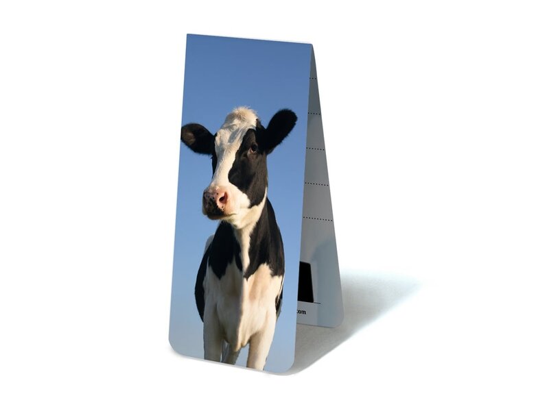 Marque-page magnétique, vache à la recherche dans l'appareil photo