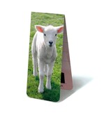 Magnetic Bookmark, Lamb Magnetic Bookmark, Lamb
