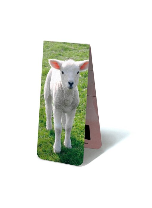 Magnetische Boekenlegger, Lammetje