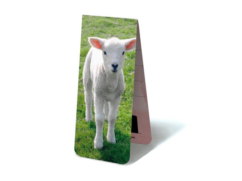 Magnetische Boekenlegger, Lammetje
