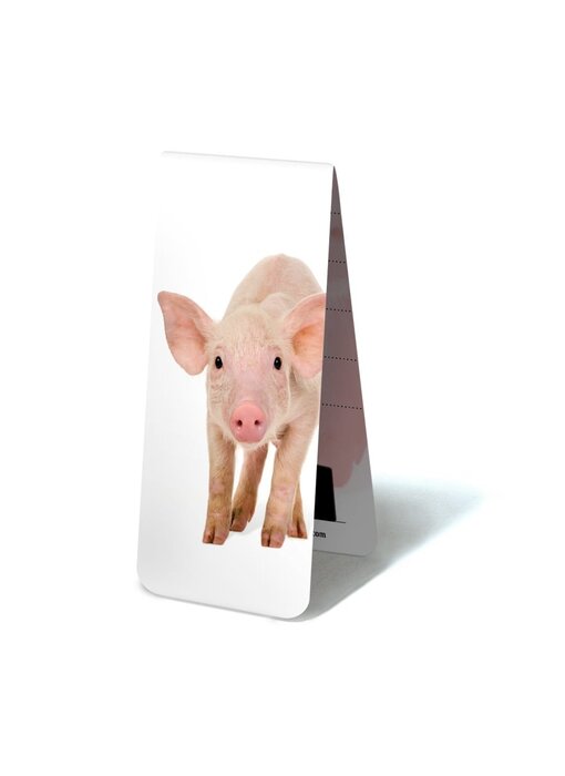 Magnetisches Lesezeichen, Schwein