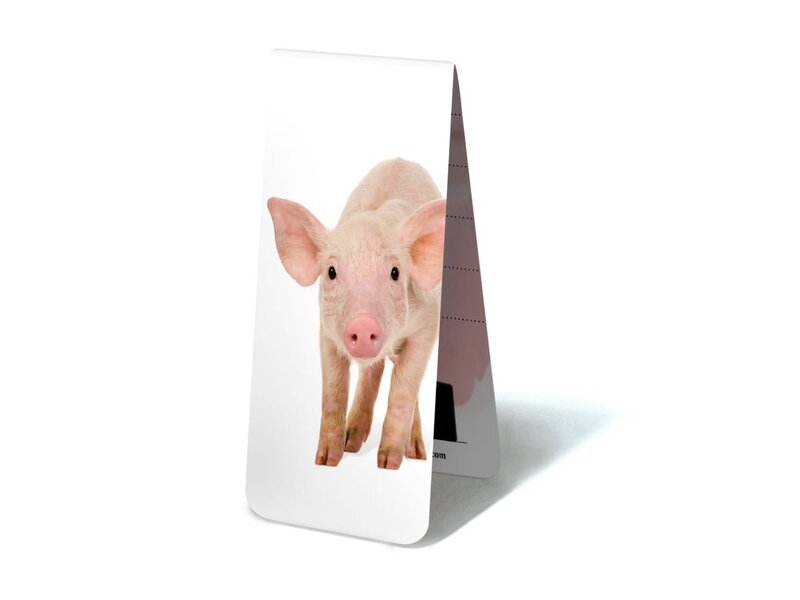 Magnetic Bookmark, Piggy