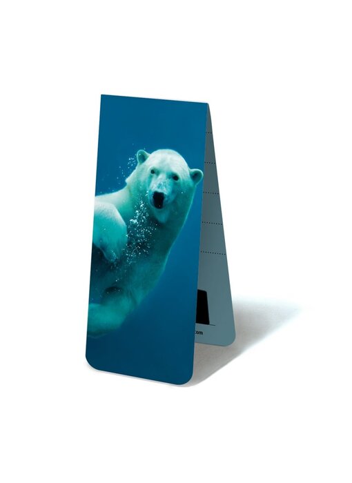 Magnetic Bookmark, Polar bear swimming