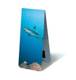 Magnetic Bookmark, Shark Magnetic Bookmark, Shark