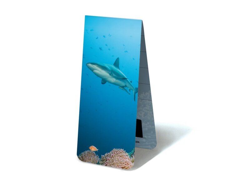 Magnetische Boekenlegger, Haai