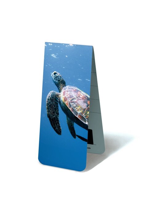 Magnetische Boekenlegger, Schildpad