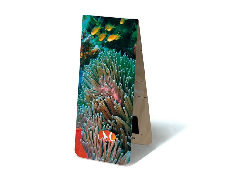 Marque-page magnétique, poisson clown, mer tropicale