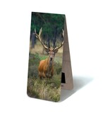 Marque-page magnétique, Cerf mâle Marque-page magnétique, Cerf mâle