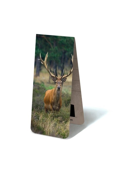 Magnetisches Lesezeichen, männlicher Hirsch