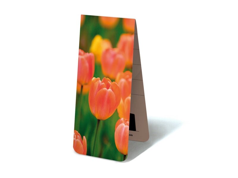 Magnetic Bookmark, Tulips light orange