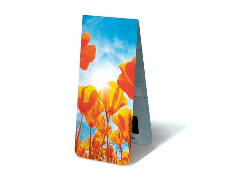 Magnetic Bookmark, Tulips red yellow with sun