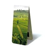 Magnetische Boekenlegger, Itaiaanse velden