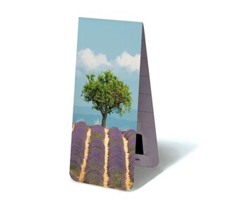 Marcador magnético, campo de lavanda con árbol