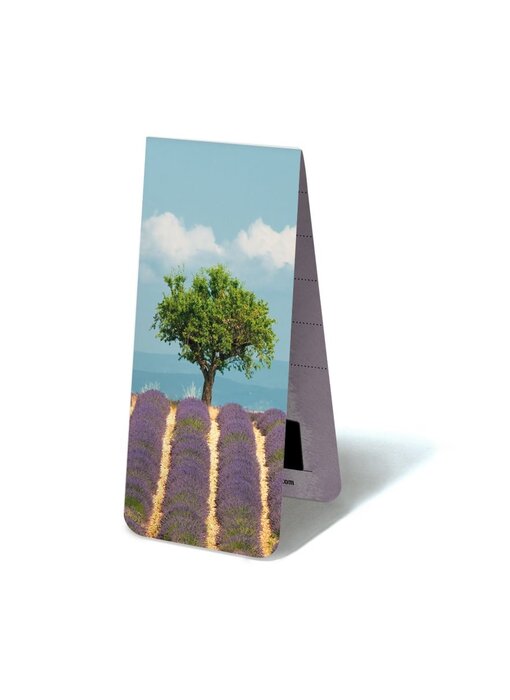 Marcador magnético, campo de lavanda con árbol