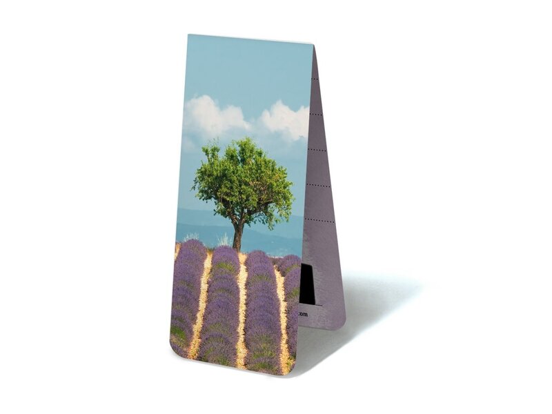 Magnetisches Lesezeichen, Lavendelfeld mit Baum