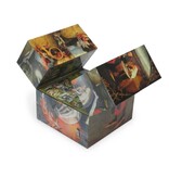 Cubo Mágico, Jheronimus Bosch Cubo Mágico, Jheronimus Bosch