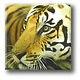 Imán de nevera, tigre